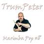 Marimba Pop #8