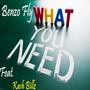 What You Need (feat. Kash Billz) [Explicit]