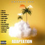 Adaptation (Explicit)