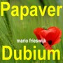 Papaver Dubium