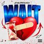 Wait (Explicit)