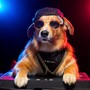 Tranquil Hip Hop Beats for Dogs