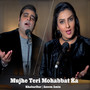 Mujhe Teri Mohabbat Ka
