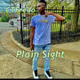 Plain Sight (Explicit)