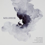 Guy Barash: Killdeer