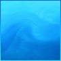Proteus