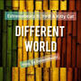 Different World (feat. Yo B)