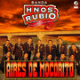 Aires de Mocorito (Instrumental)