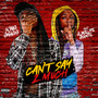 Can't Say 2 Much (Explicit)