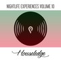 Nightlife Experiences, Vol. 10 (Explicit)