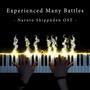 Experienced Many Battles (From 