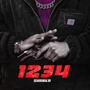 1234 (Explicit)