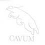 Cavum