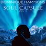 Soul Capsule, Vol. 3