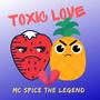 Toxic Love (Radio Edit)