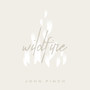 Wildfire