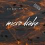 Micro (Explicit)