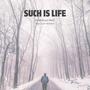 Such Is Life (feat. Colin Roberts)