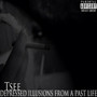 Depressed Illusions of a Past Life (Explicit)