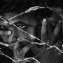 Berettas and love letters (Explicit)
