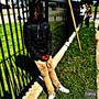 Freestyle (Explicit)