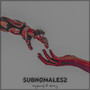 Subnomales2