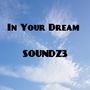 In Your Dream(LCRX Bass House Remix)