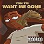Want Me Gone (Explicit)