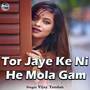 Tor Jaye Ke Ni He Mola Gam