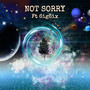 Not Sorry (Remix)