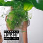 SlimeCity (Explicit)