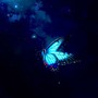 Butterfly ABYSS