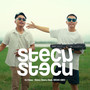 Stecu Stecu