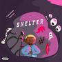 SHELTER (feat. Drayesong & Vickeysax) [Explicit]