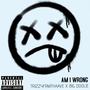 Am I Wrong (feat. Big Doolie) [Explicit]