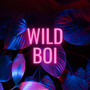 Wild Boi (Explicit)