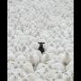 Lost and Found