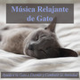 Música Relajante de Gato: Ayuda a Tu Gato a Dormir y Combatir la Ansiedad