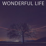 Wonderful Life