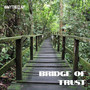Bridge of Trust