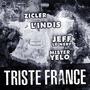 Triste France (feat. Jeff Le Nerf, Zicler & L'Indis) [Explicit]