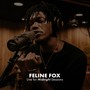 Feline Fox (Midnight Sessions) [Live] [Explicit]