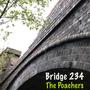 Bridge 234