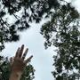 Raise Your Hands (One Time)