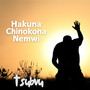 Hakuna Chinokona Nemwi