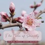 The Calm of Serenity - Calming Music Sound Machine