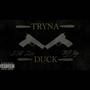 TRYNA DUCK (feat. 556zoo) [Explicit]