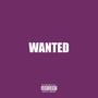 Wanted (Explicit)