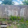 Want You (feat. Violinda ) [Explicit]