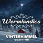 Vinterhimmel (feat. Torleif Styffe & Robert Åslund)